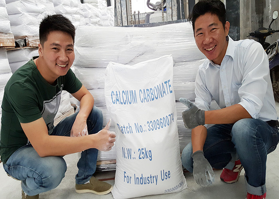Gestort Calciumcarbonaat voor Document, Licht Calciumcarbonaat CAS Nr 471-34-1